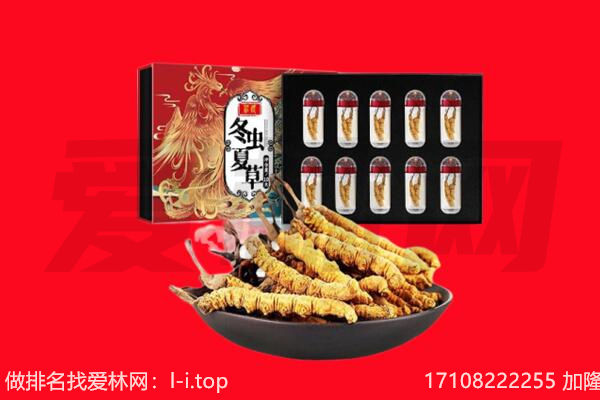大连市回收虫草.jpg
